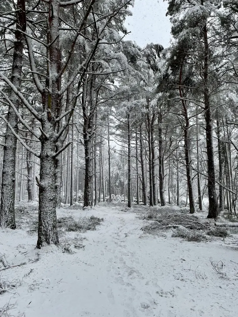 Portrait of Daniel J. Robert